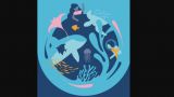 Visitas guiadas en el Aquarium Finisterrae | Día Mundial de los Oceános 2022 en A Coruña
