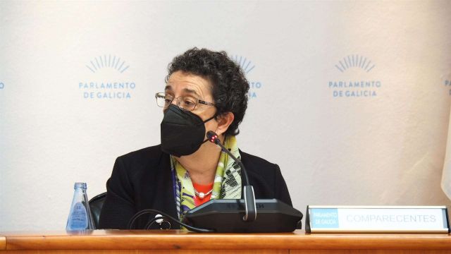 La presidenta electa del CCG, Rosario Álvarez, durante su comparecencia parlamentar