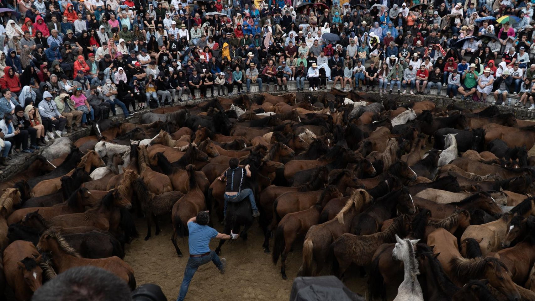 Los aloteiros se acercan a los caballos en el castro durante la Rapa das Bestas 2022, a 3 de julio de 2022, en Sabucedo.