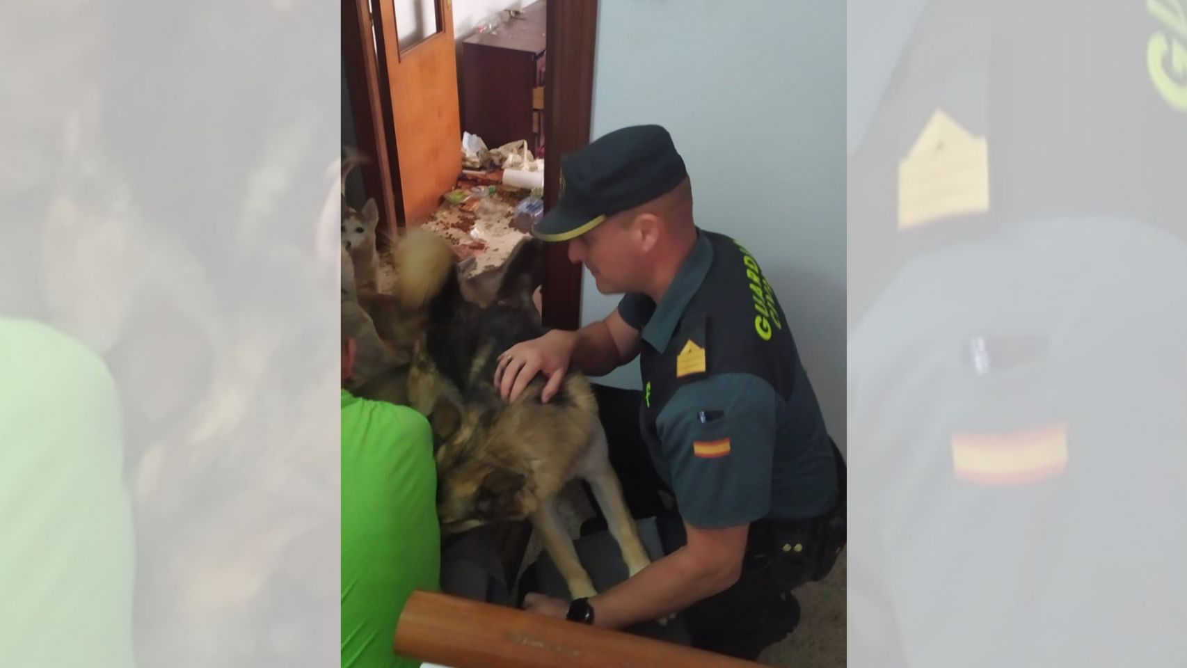 La Guardia Civil detuvo a dos vecinos de Cedeira como supuestos autores de un delito de maltrato animal.