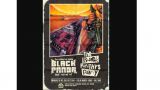 Concierto de Black Panda + The Black Panties Party en A Coruña
