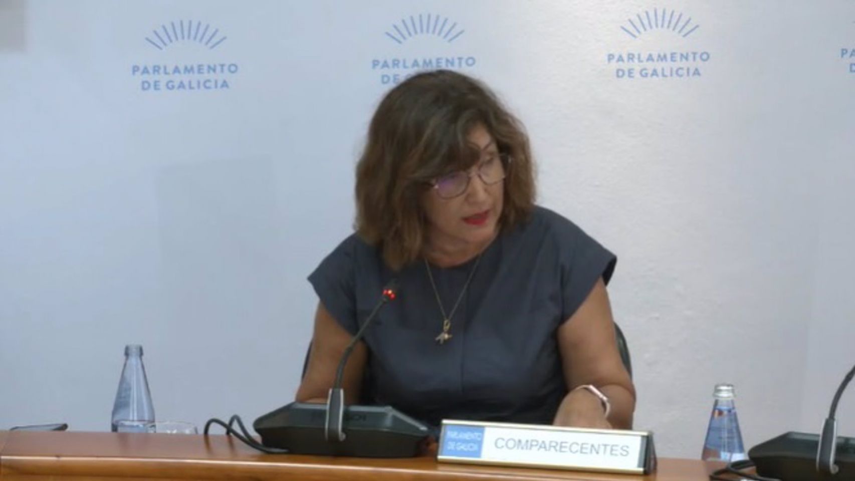La directora xeral de Recursos Humanos del Sergas, Ana Comesaña, en la Comisión 5ª, de Sanidad, del Parlamento gallego.