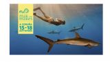 Gador Muntaner. Bailando con tiburones | Festival Mar de Mares 2022 en A Coruña