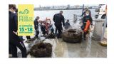 Gran limpieza de fondos marinos | Festival Mar de Mares 2022 en A Coruña