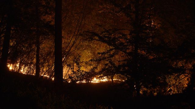 Fuego en una zona boscosa, a 28 de julio de 2022, en Castrelo de Miño, Ourense.