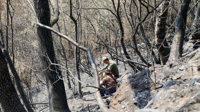 Voluntarios observan exhaustos los daños causados en la Sierra de Caurel tras el incendio.