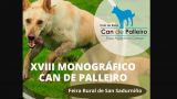 XVIII Concurso Monográfico Can de Palleiro 2022 en San Sadurniño (A Coruña)