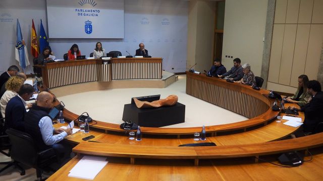 Reunión de la Comisión de Cultura y Educación del Parlamento de Galicia.
