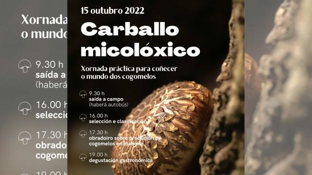 Jornada micológica en Carballo (A Coruña).