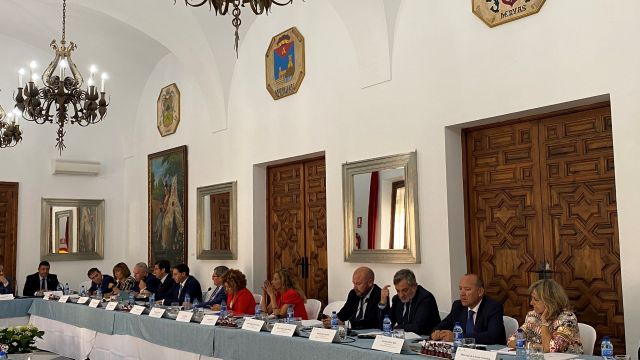 Pleno de Diputaciones, Cabidos y Consellos Insulares de la FEMP.