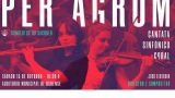 Concierto de PER AGRUM en Ourense