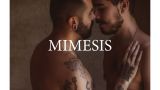 Mimesis: Exposición de fotografía en Ourense