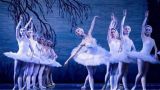 Ballet Clásico de Ucrania - "El lago de los cisnes" en A Coruña