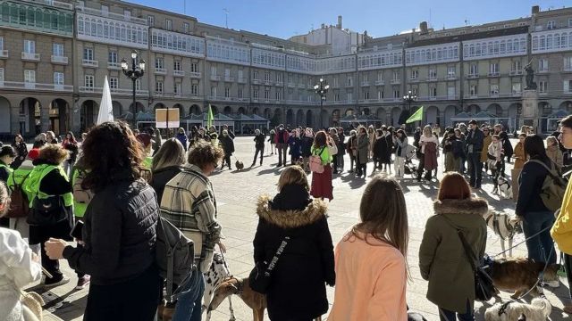 Protesta en A Coruña para incluir los perros de caza en la Ley de bienestar animal.