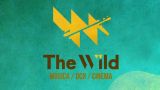 The Wild Fest en Vigo
