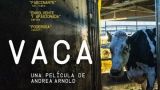 MICE 2023: COW en Santiago de Compostela