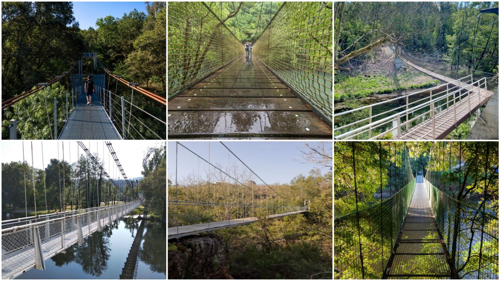 Vista Del Puente Colgante De La Suspensión Del Río Salmón En El