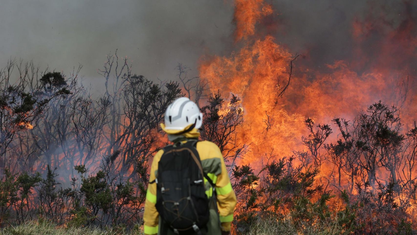 Un efectivo trabaja en un incendio forestal en Baleira, Lugo. Imagen de archivo.
