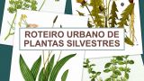 Ruta urbana e obradoiro de plantas silvestres en Santiago de Compostela