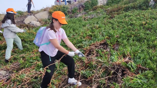 Escolares participan en la jornada medioambiental.