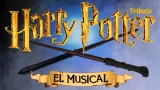 "Harry Potter, el musical" en Pontevedra