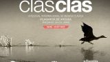 VI edición Festival Internacional de Música clasclás - Concierto de clausura: Cello Republic en Vilagarcía de Arousa