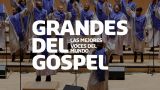 "B.B King spiritual" de Chicago Mass Choir en Ourense
