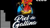 Concierto de Piel de Gallina en A Coruña