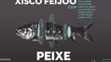 Concierto de Xisco Feijoó en la gira "Peixe” en A Vigo