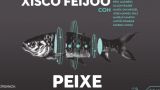 Concierto de Xisco Feijoó con la gira “PEIXE” en Vigo