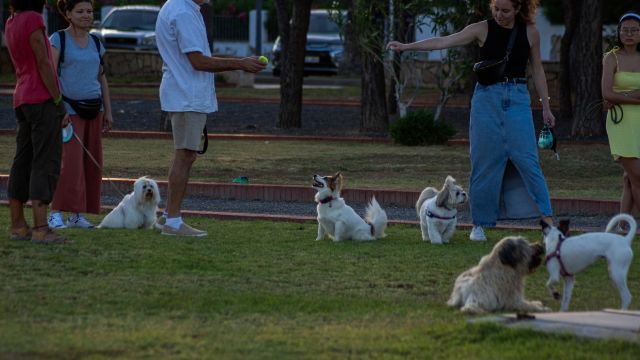 Grupo de personas con sus perros en el parque