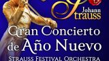 Gran concierto de Año Nuevo de Vigo