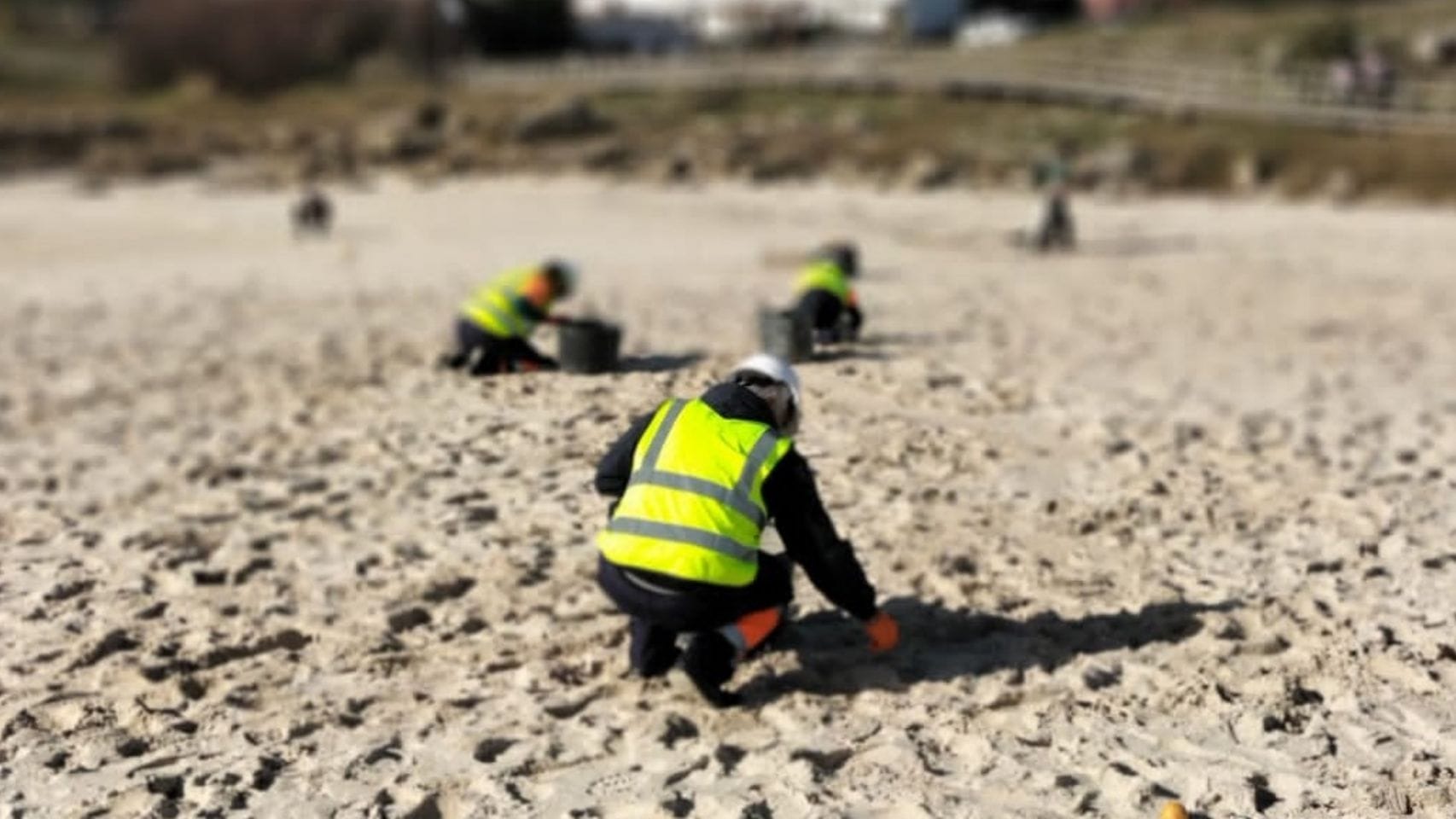 Operarios trabajan en la recogida de pellets en las playas de Galicia.