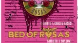 Concierto de Gansos Rosas, un Tributo a Bon Jovi y Guns N´ Roses, en A Coruña