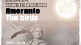 Cineconcertos. 'The Birds' con Amorante en Ferrol