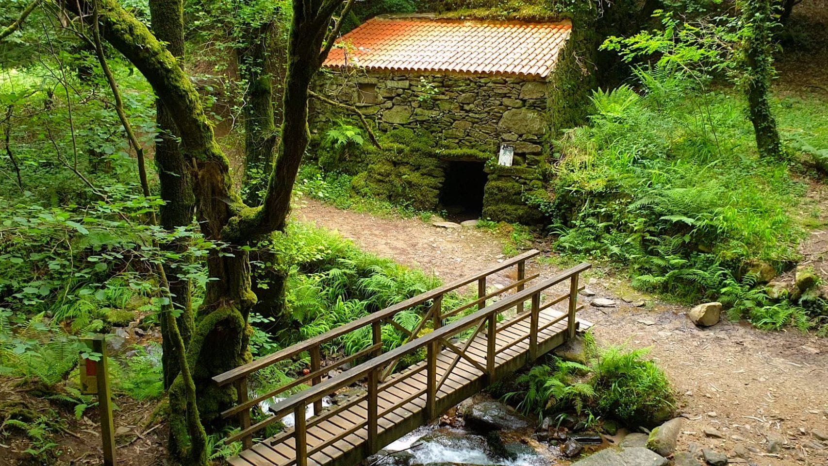 Senda del río Eifonso, Vigo. 