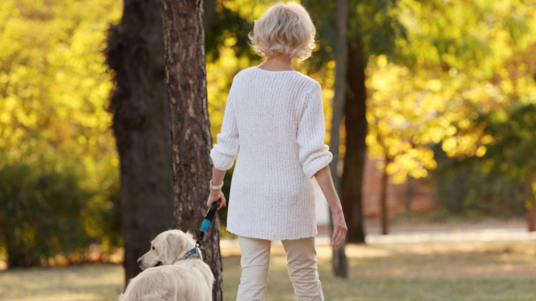 Una persona mayor paseando con su perro