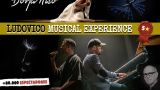 Ludovico Musical Experience en Ourense
