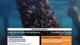 Fiesta del Mejillón y del Berberecho 2024 en Vilanova de Arousa: Programa, cartel y agenda completa