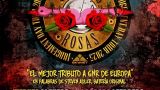 Concierto de 'Gansos Rosas y Love Hunters' en A Coruña