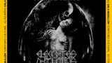Concierto de Exhorder + Elefantes mutilados en Mós