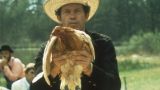 Proyección de 'Gallos de pelea' de Monte Hellman en A Coruña