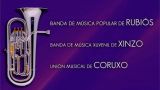XIV Festival de Bandas de Música de Coruxo en Vigo