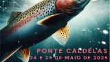 Festa da Troita 2025 en Ponte Caldelas: Programa, cartel y agenda completa