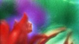 Proyección de 'Betzy Bromberg. Programa 3' - (S8) XVI Mostra Internacional de Cinema Periférico en A Coruña