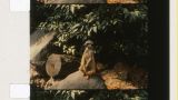 Proyección de 'Jeannette Muñoz. Programa 1' - (S8) XVI Mostra Internacional de Cinema Periférico en A Coruña