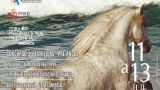 Equina 2025 en Silleda: Programa, cartel y agenda completa