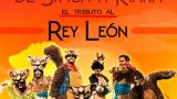 El Tributo del Rey León de Simba a Kiara en Lugo