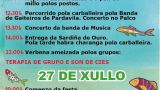 Fiesta de la sardina de Teis 2025 en Vigo: Programa, cartel y agenda completa