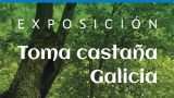 Exposición 'Toma castaña. Galicia' - Ámbito Cultural El Corte Inglés en Santiago de Compostela